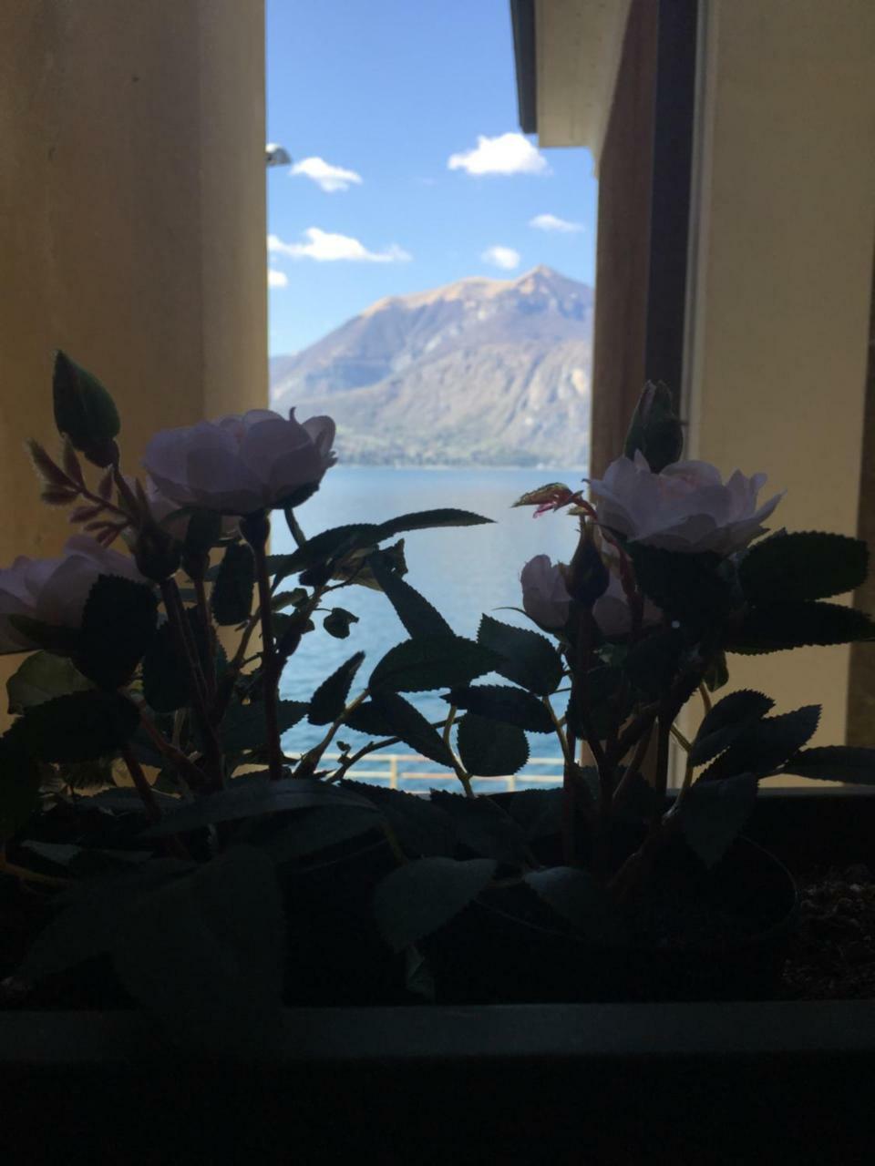 Cozy Garden Retrait Apartment Varenna Luaran gambar